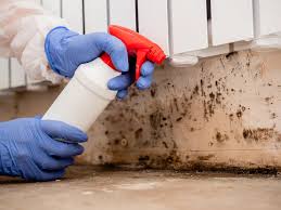 Best Mold Remediation for Healthcare Facilities  in Woodworth, OH